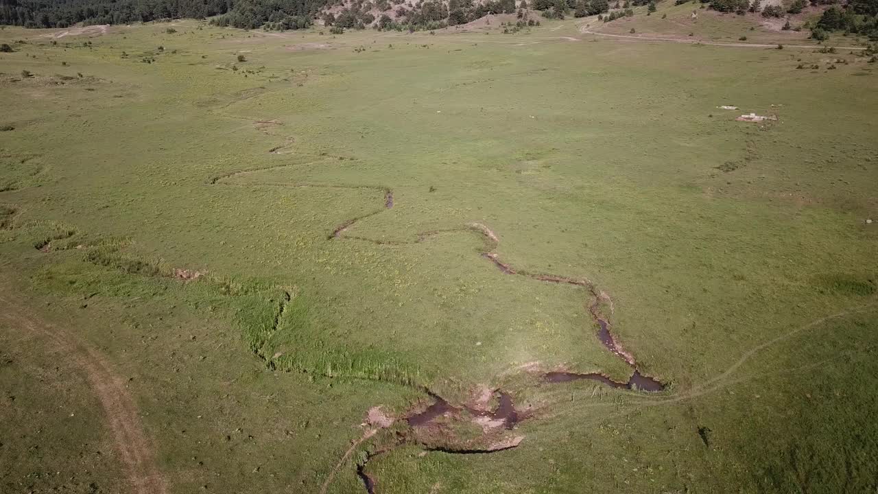 4K鸟瞰图种植园田在早晨阳光视频素材