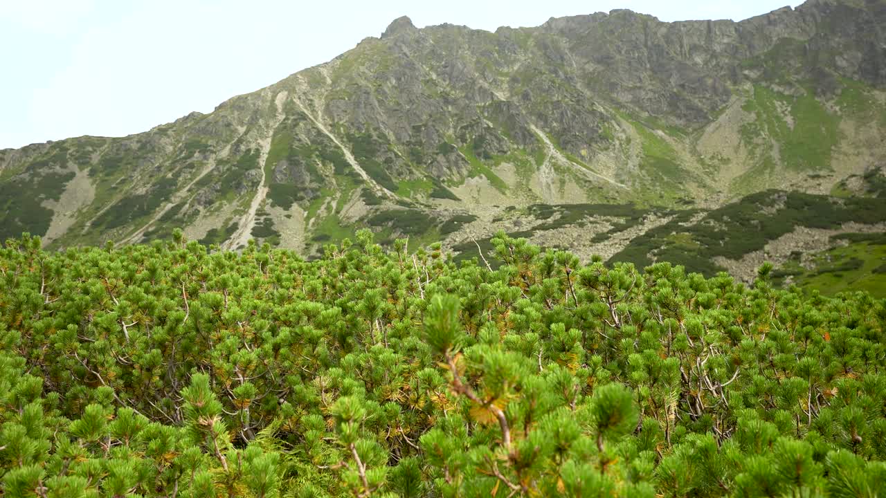 高塔特拉山，五波兰池塘山谷Dolina Pieciu Stawow Polskich在秋天视频素材