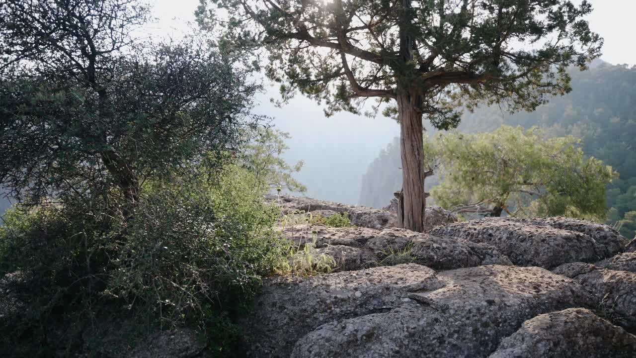 那个旅行者走过山上的石头，绕过树。视频素材