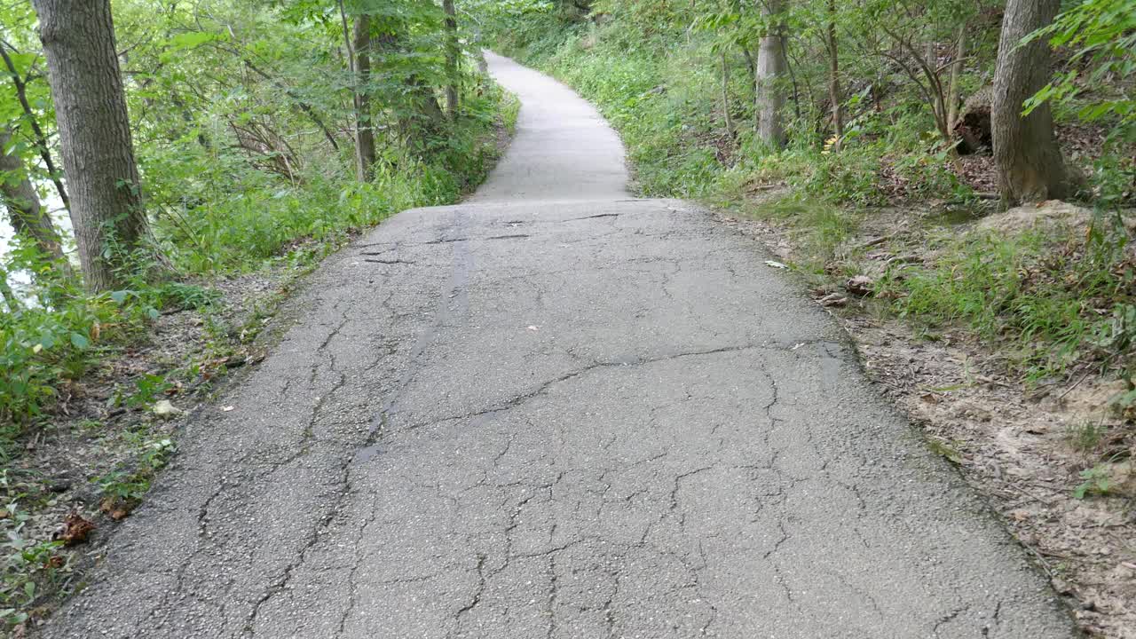 穿过森林的柏油路视频素材