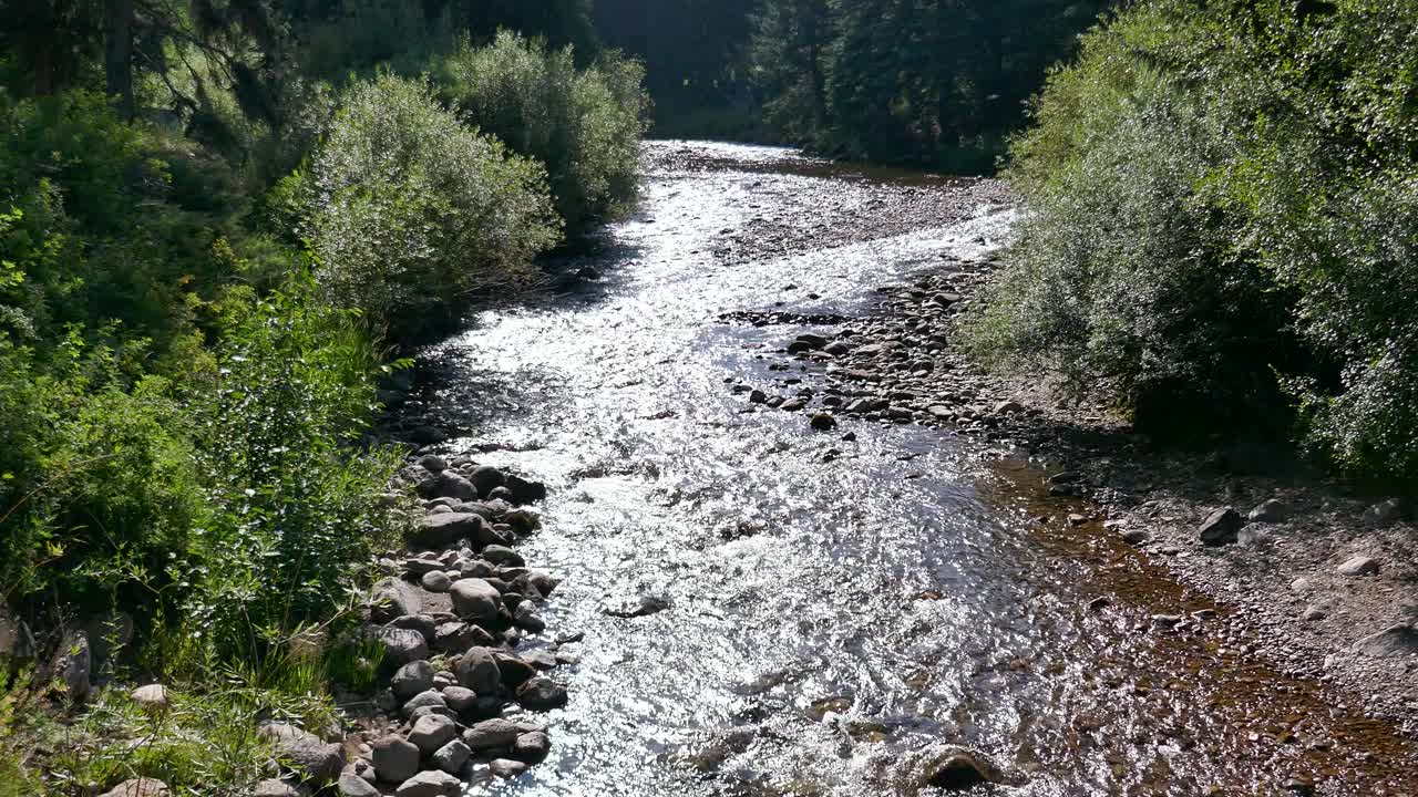 河水流淌，阳光照射水面的自然景观视频素材