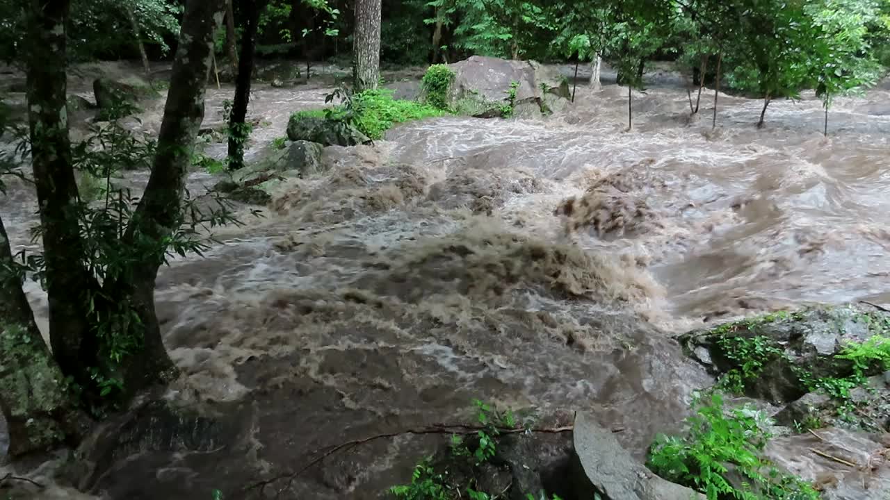 浑浊洪河中的河水视频素材