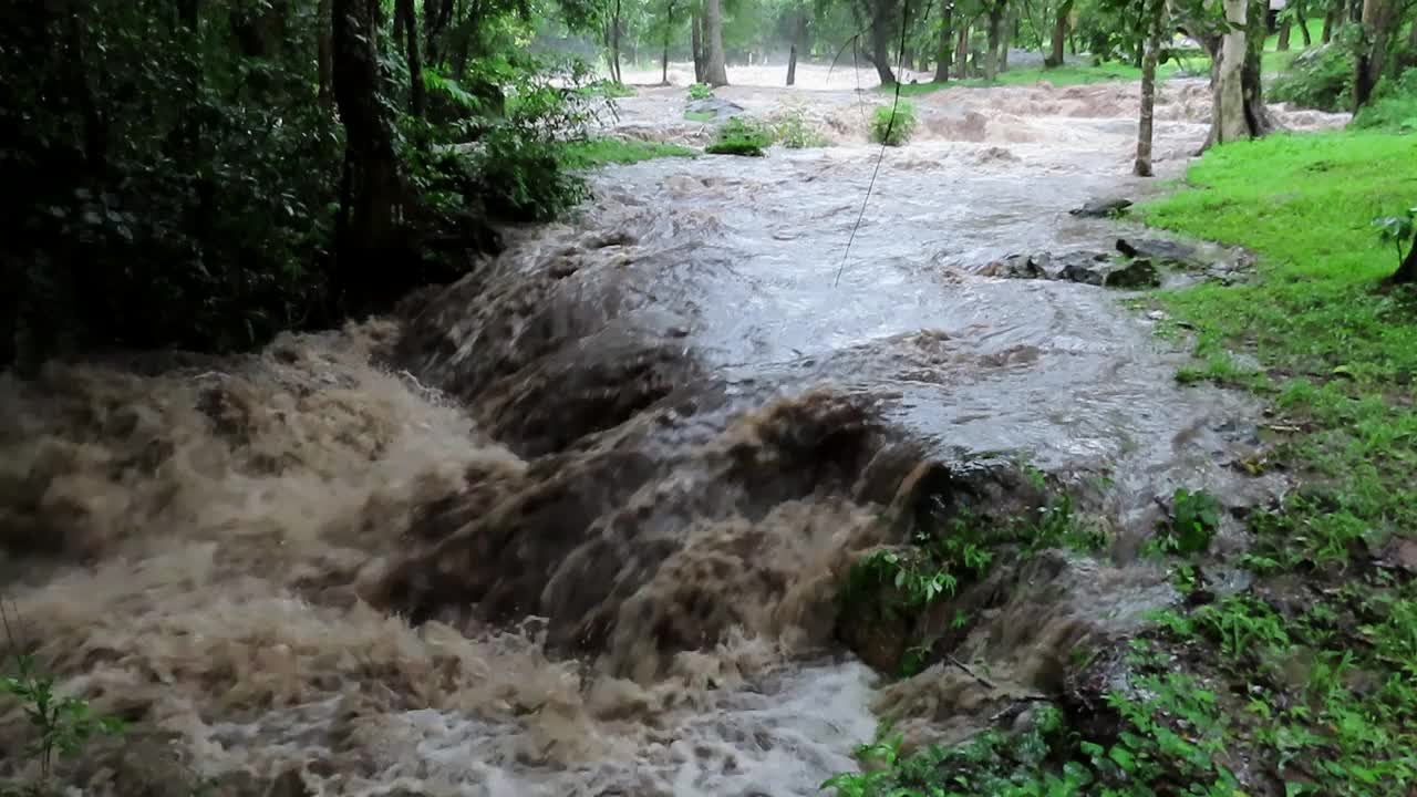 浑浊洪河中的河水视频素材