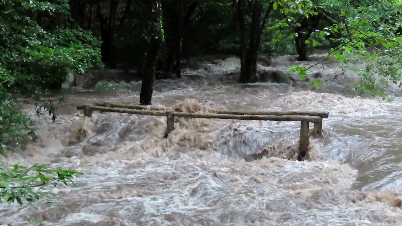 浑浊洪河中的河水视频素材