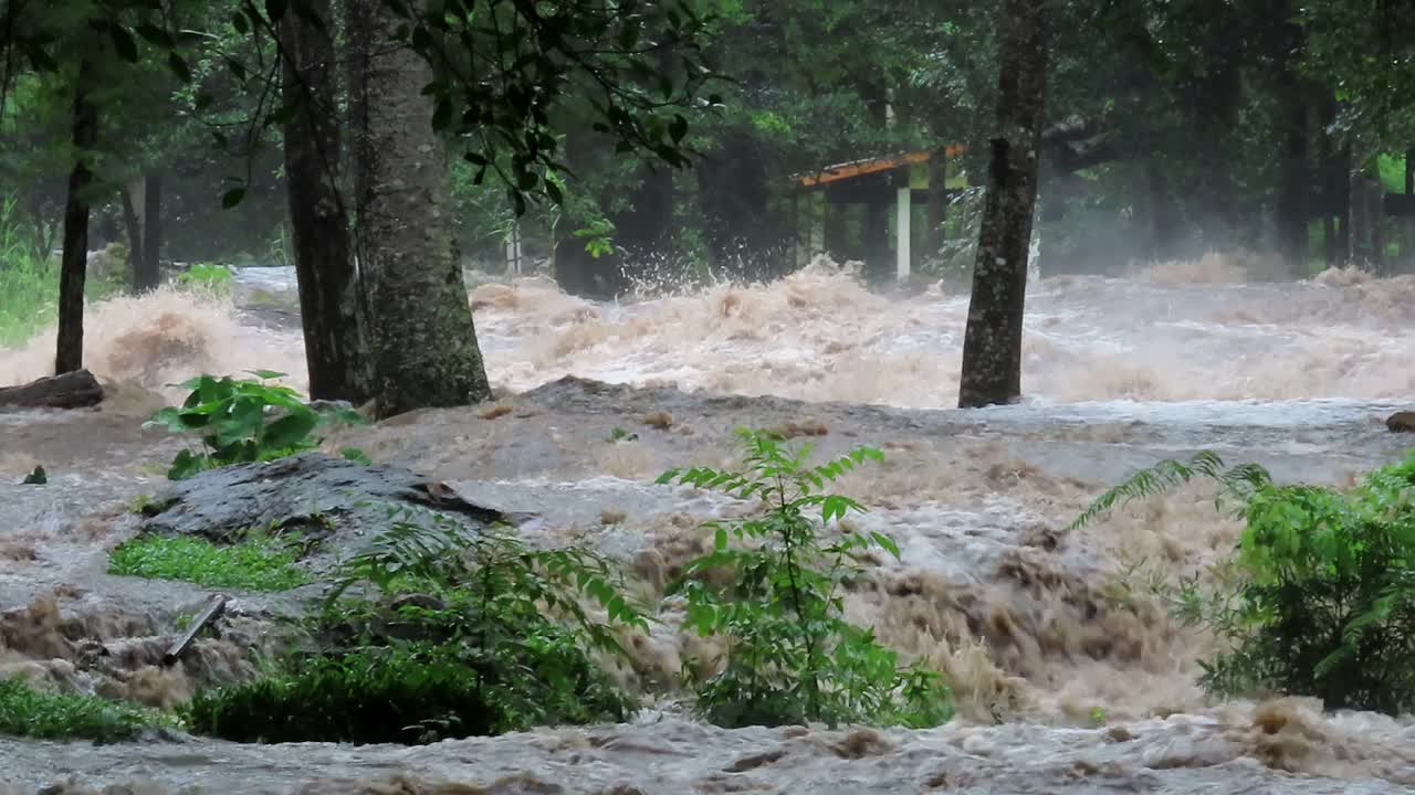 浑浊洪河中的河水视频素材