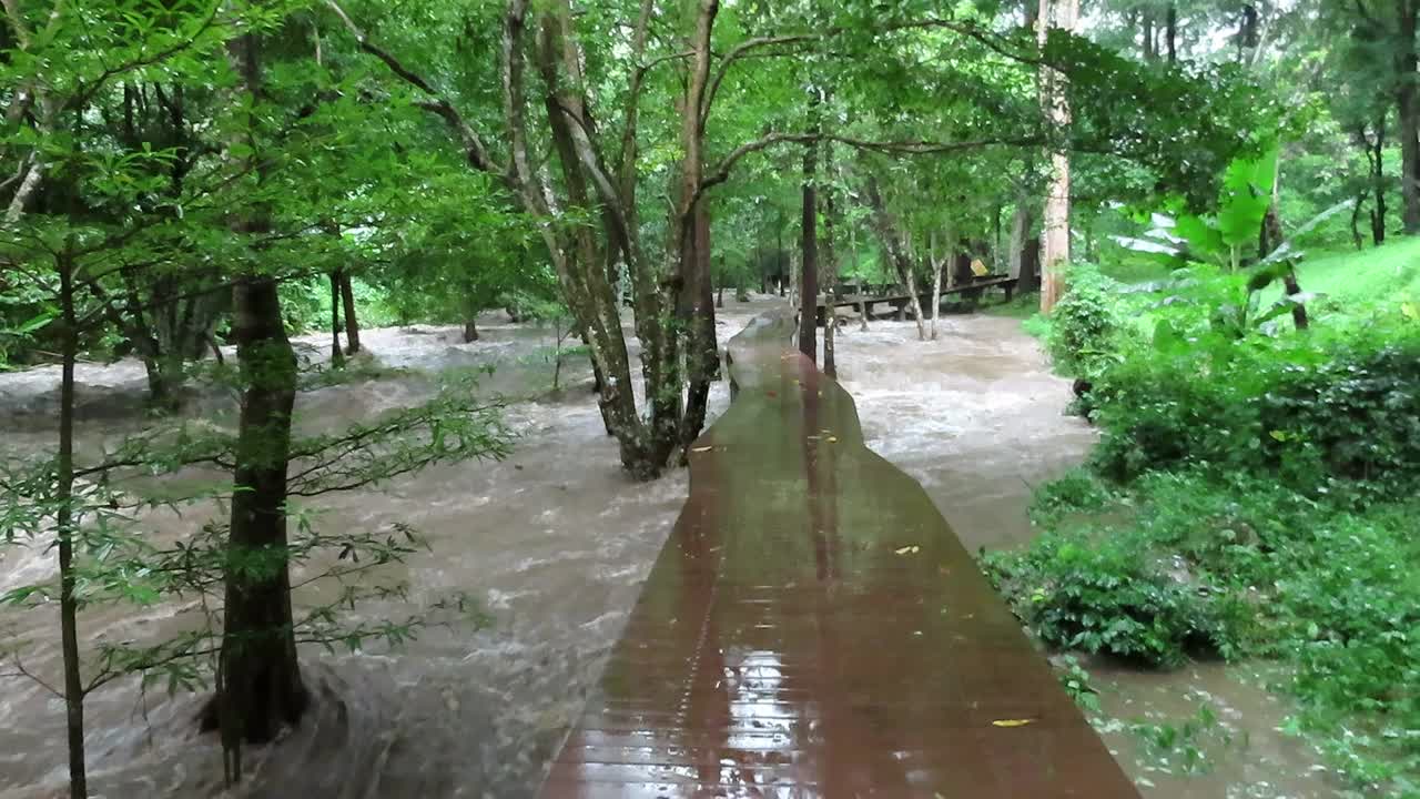 在泥泞的洪水河上，走在木板路上视频素材