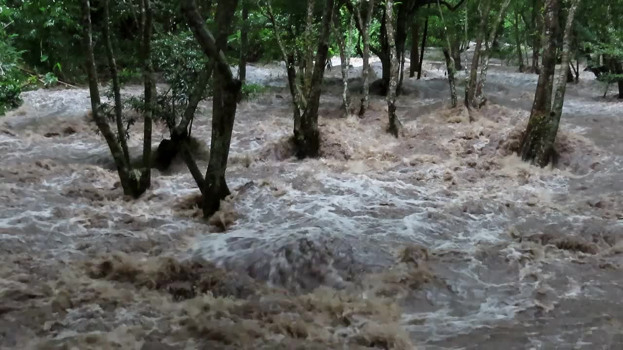 浑浊洪河中的河水视频素材