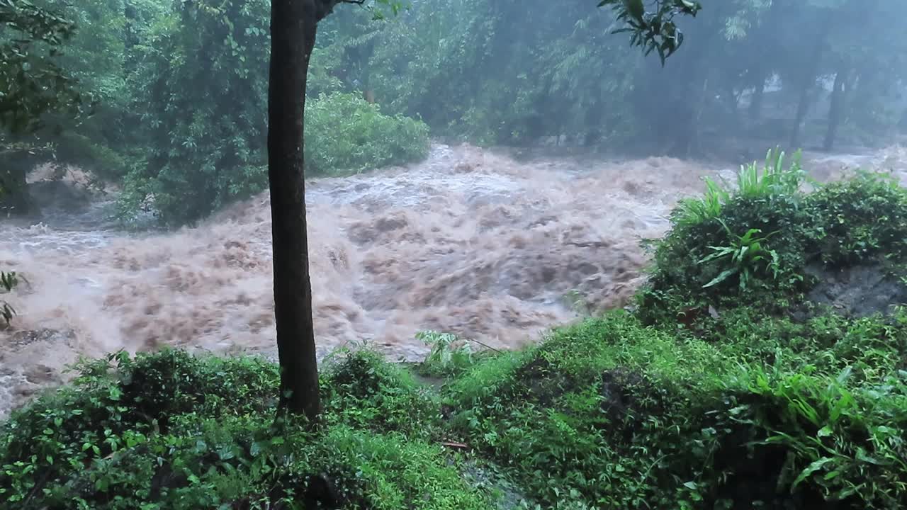 浑浊洪河中的河水视频素材