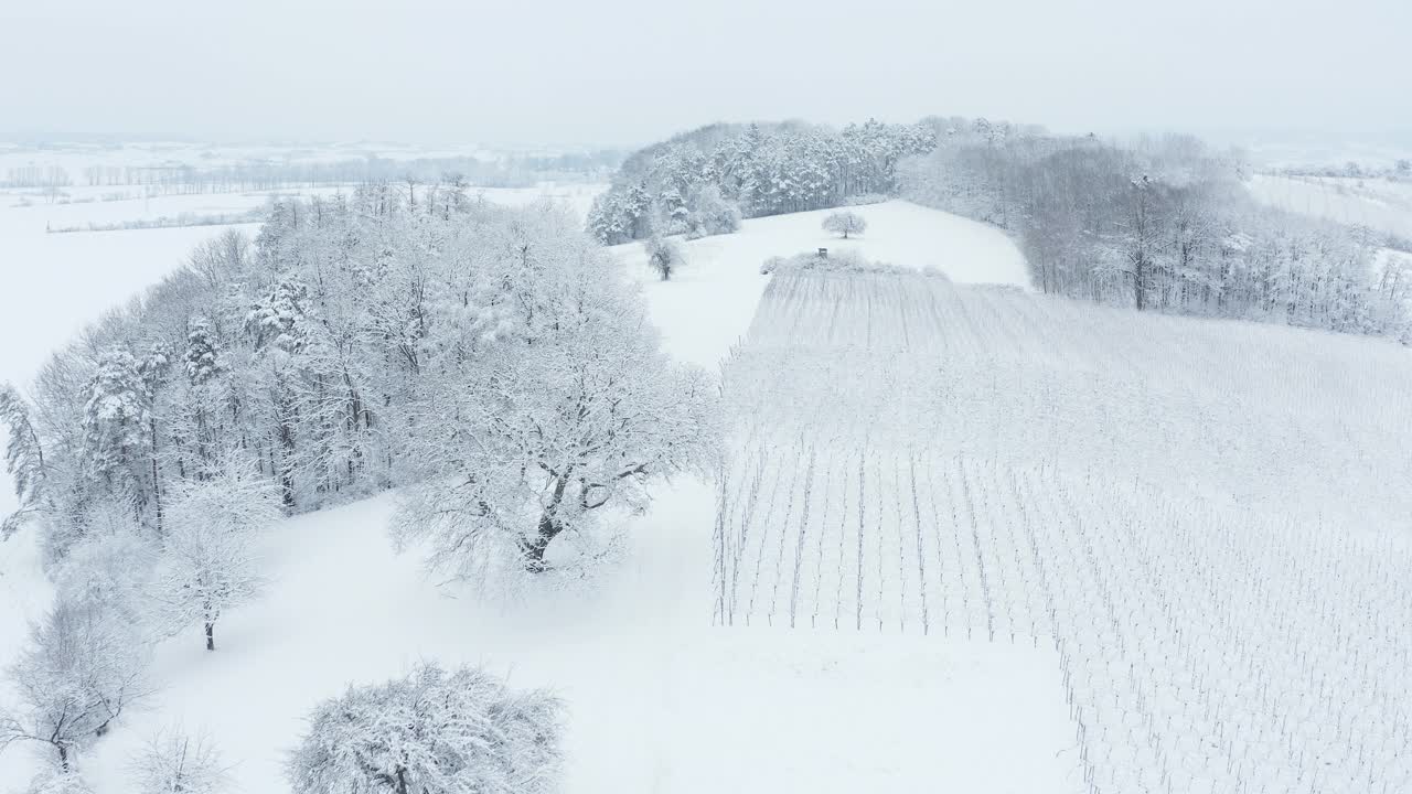 鸟瞰积雪覆盖的冬季景观树木，森林和葡萄园。法国，巴伐利亚，德国，欧洲。视频素材