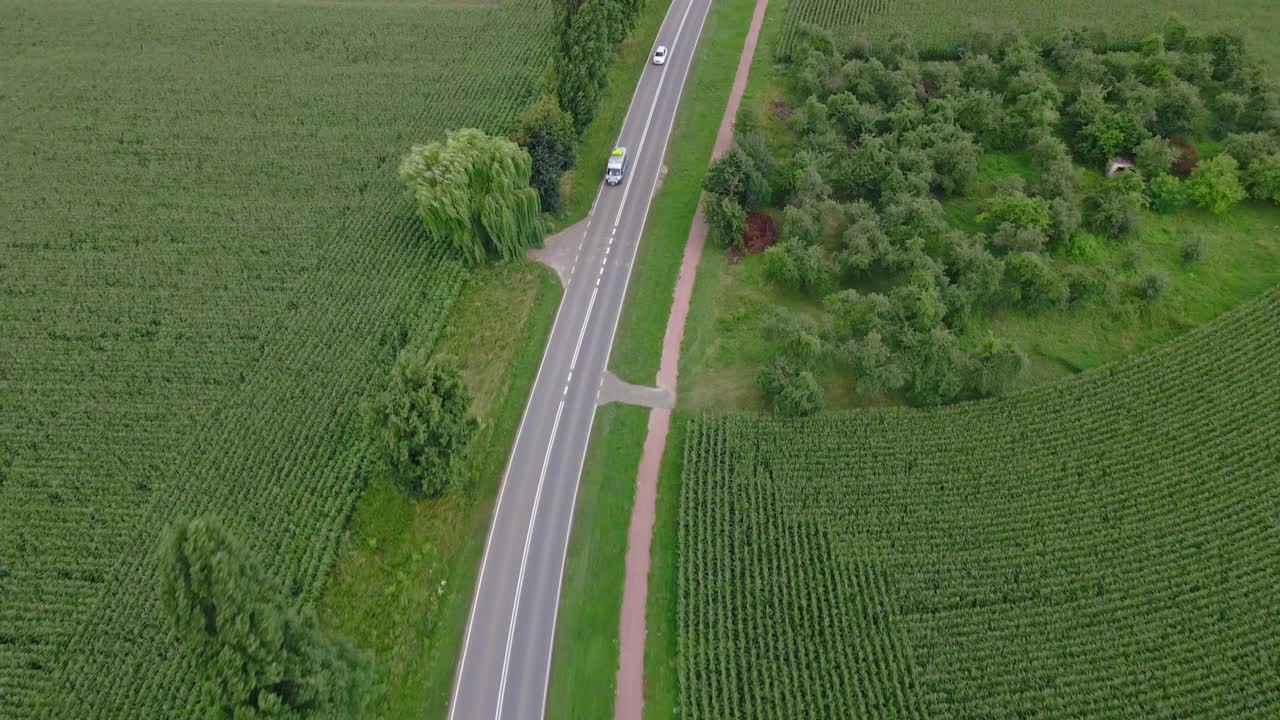 鸟瞰图的汽车在道路上通过农田视频素材