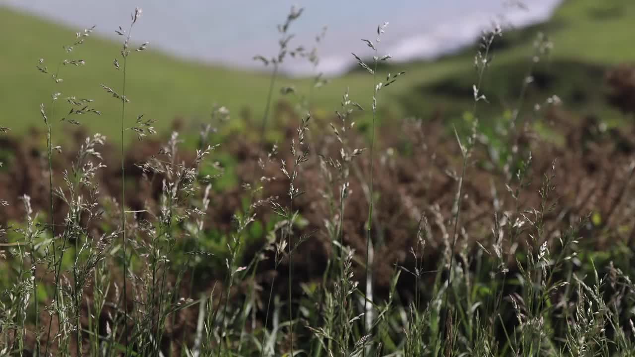 多佛白崖视频素材