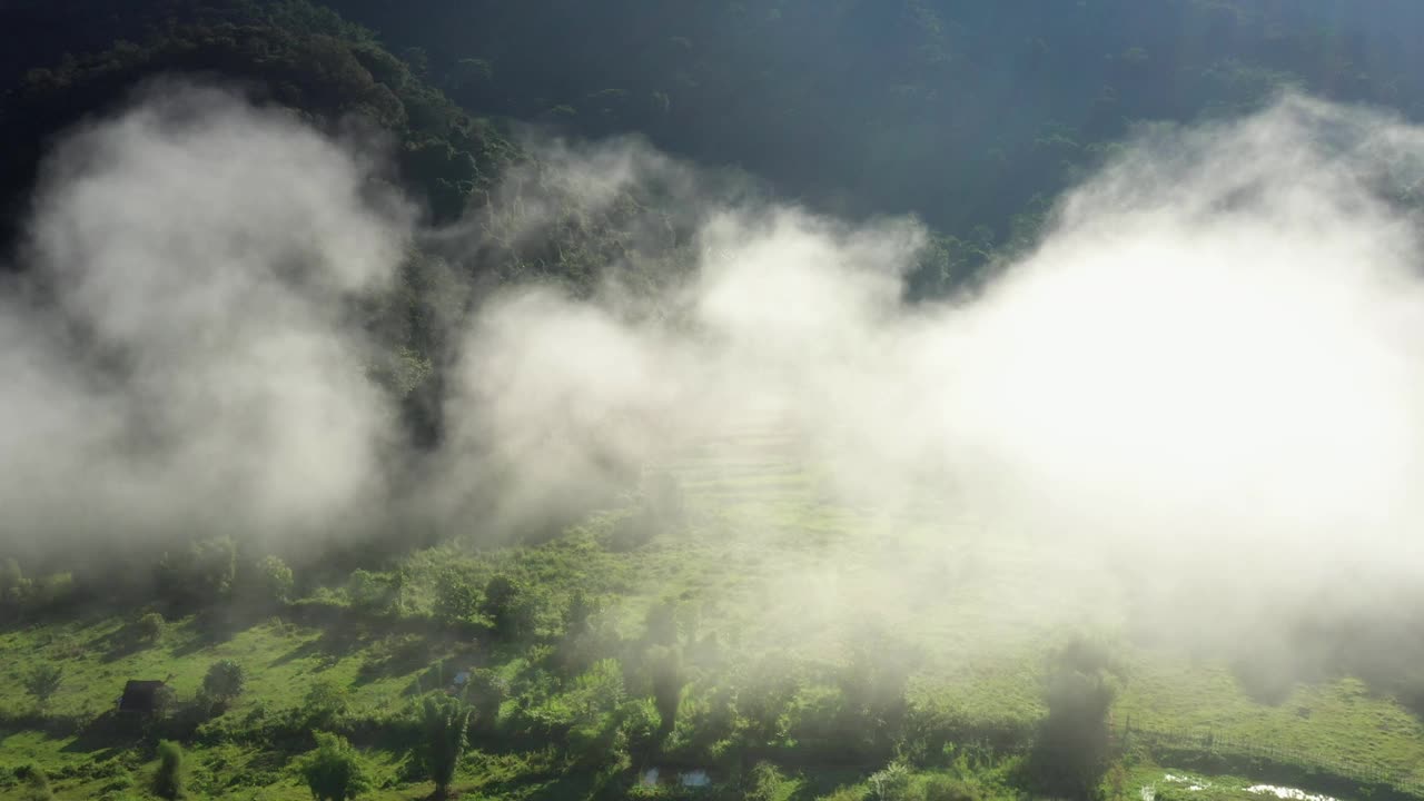 在一个美丽的山谷里，鸟瞰一大片稻田。泰国北部农业区视频素材