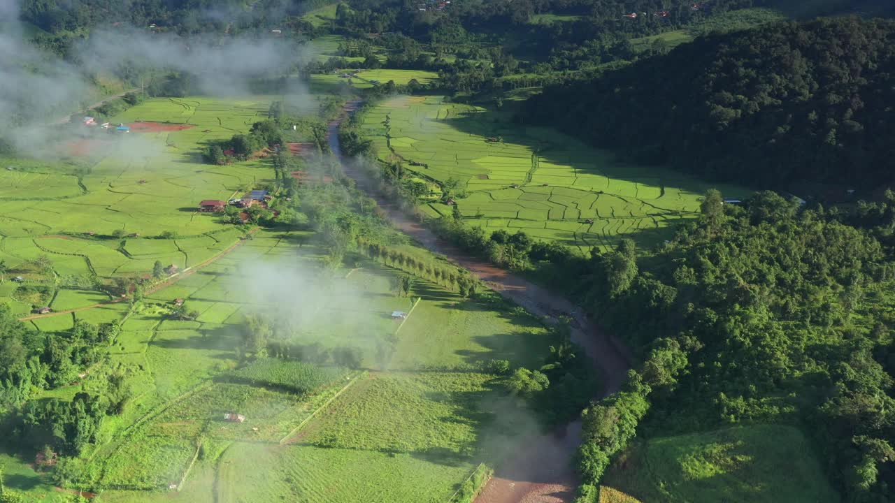 在一个美丽的山谷里，鸟瞰一大片稻田。泰国北部农业区视频素材