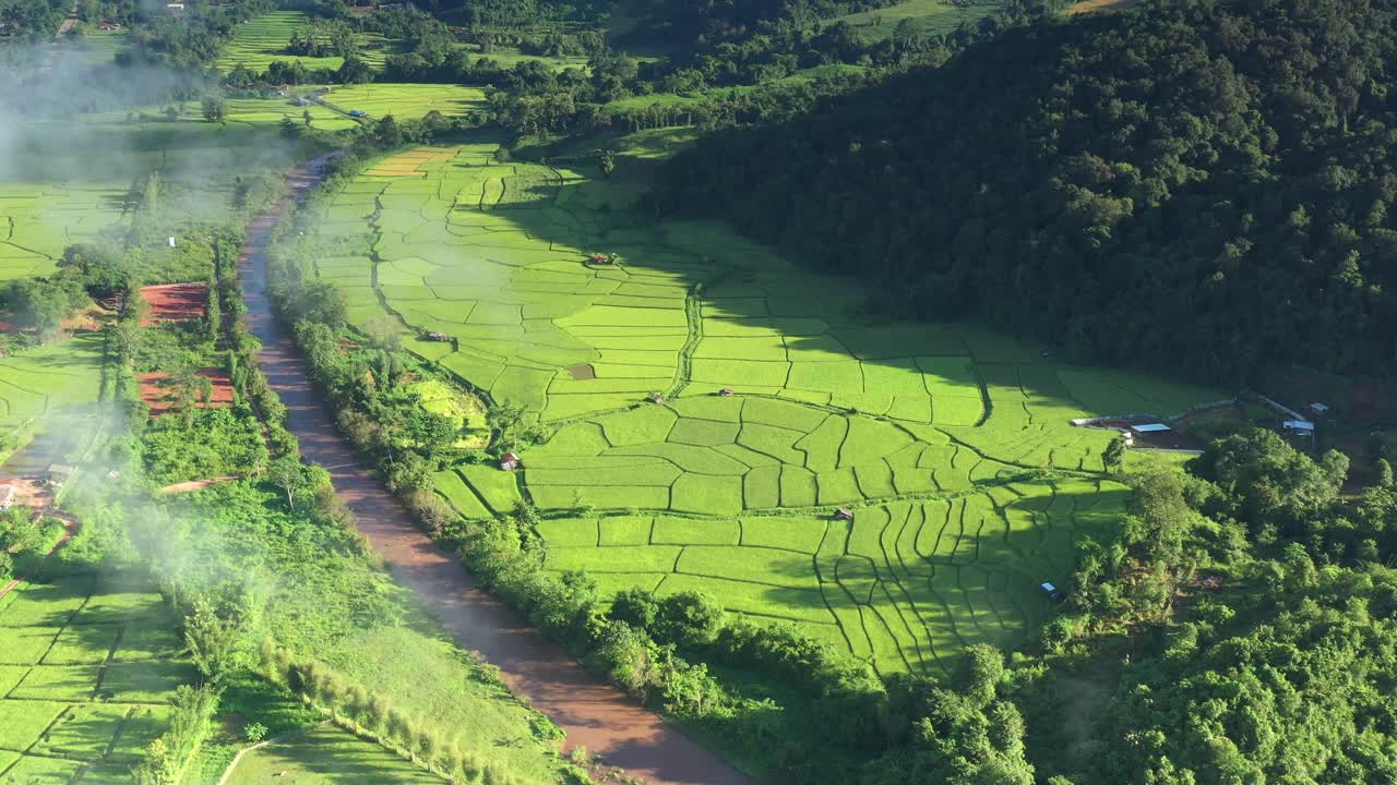 在一个美丽的山谷里，鸟瞰一大片稻田。泰国北部农业区视频素材