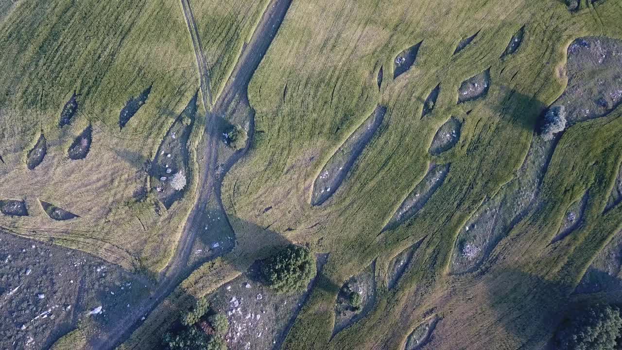 4K鸟瞰图种植园田在早晨阳光视频素材