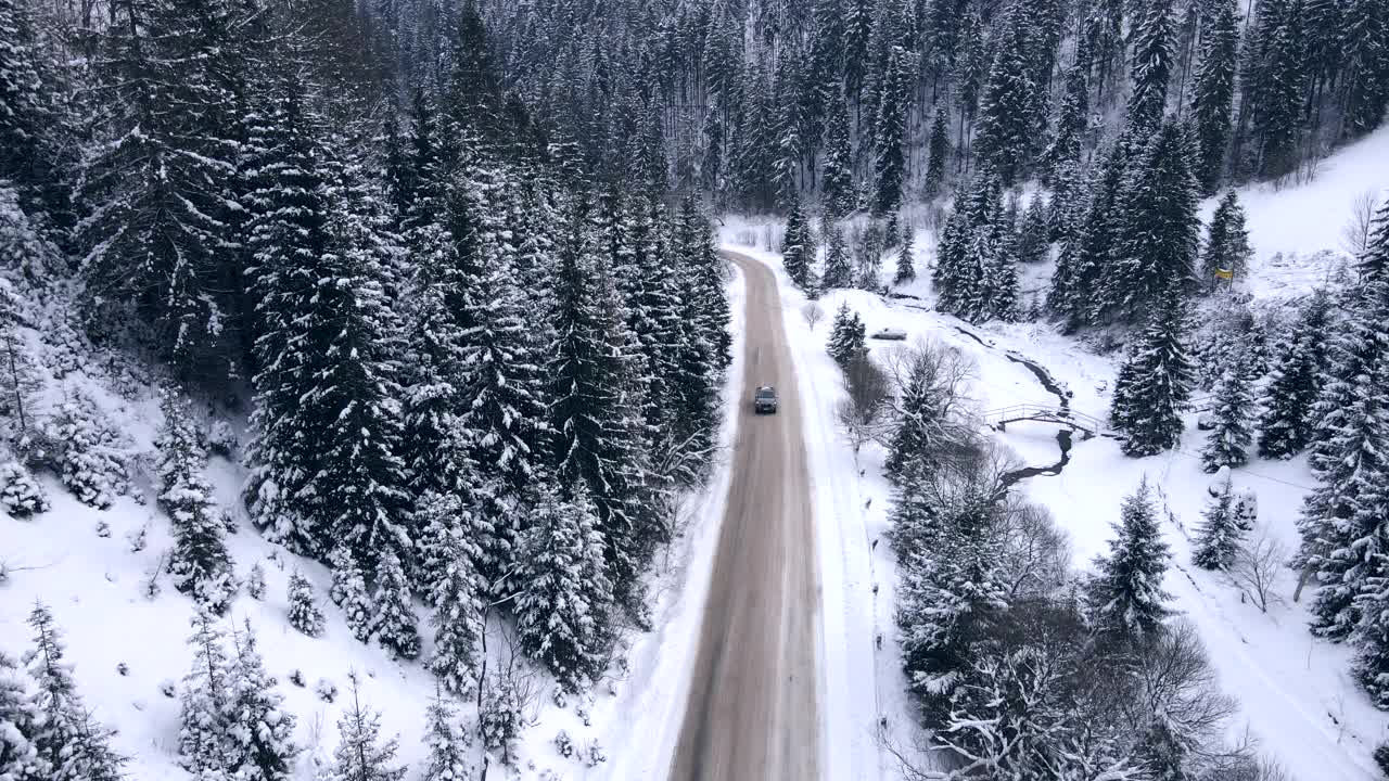 鸟瞰图雪道在松树林视频素材