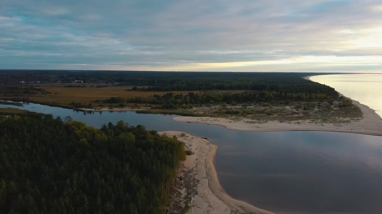 高加河流入波罗的海的里加湾。被风暴冲上海岸的破碎的松树。无人机俯视图视频素材