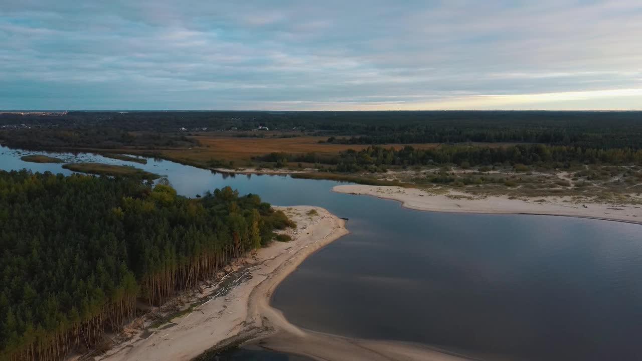 高加河流入波罗的海的里加湾。被风暴冲上海岸的破碎的松树。无人机俯视图视频素材