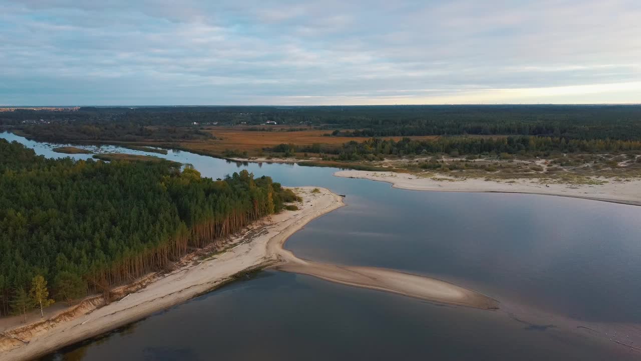 高加河流入波罗的海的里加湾。被风暴冲上海岸的破碎的松树。无人机俯视图视频素材