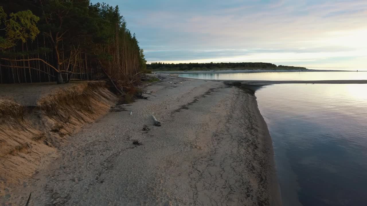 高加河流入波罗的海的里加湾。被风暴冲上海岸的破碎的松树。无人机俯视图视频素材