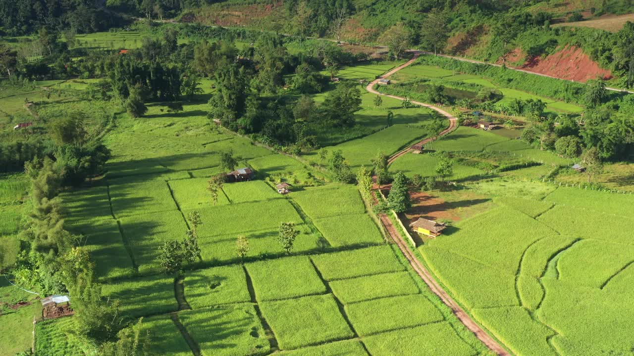 在一个美丽的山谷里，鸟瞰一大片稻田。泰国北部农业区视频素材