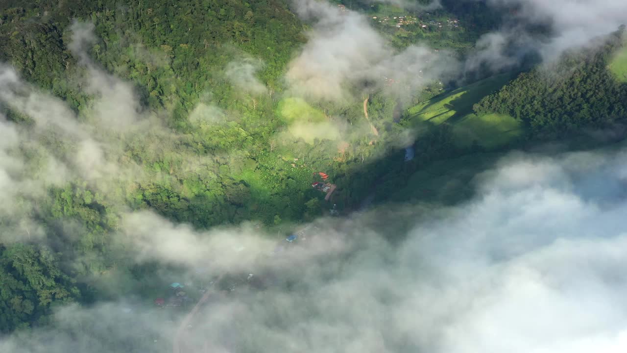 在一个美丽的山谷里，鸟瞰一大片稻田。泰国北部农业区视频素材