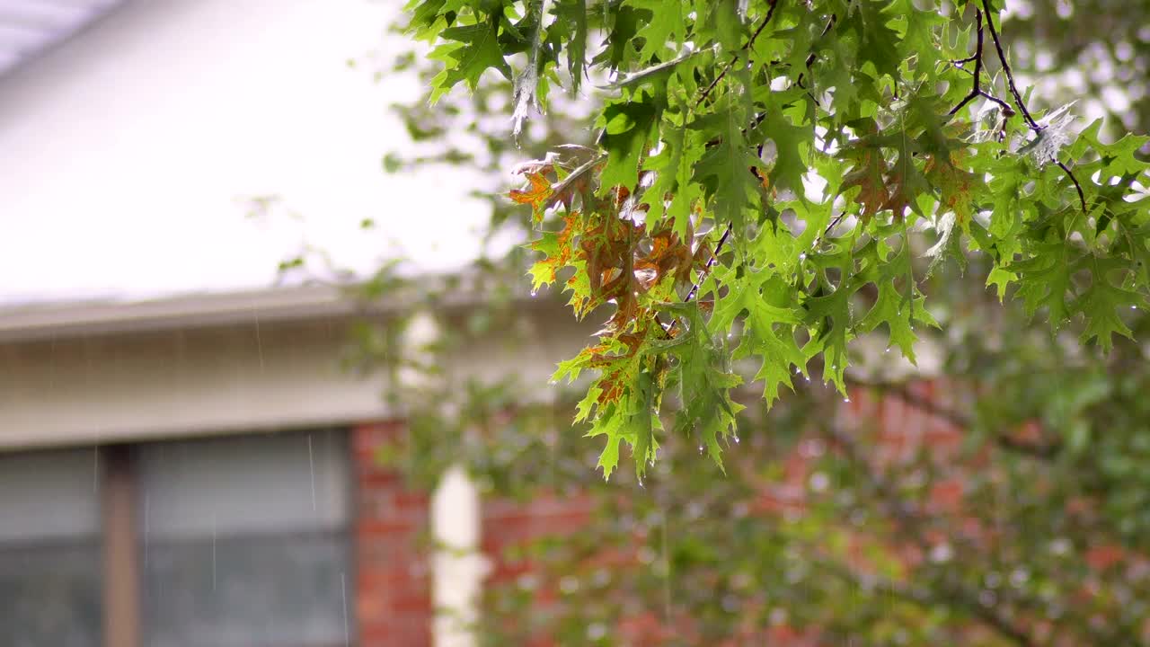 夏天，大雨倾盆，雨水从屋顶溢出小镇视频素材