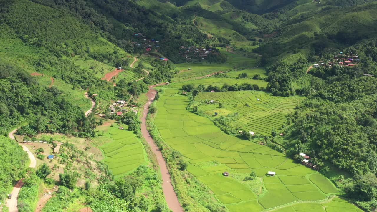 在一个美丽的山谷里，鸟瞰一大片稻田。泰国北部农业区视频素材