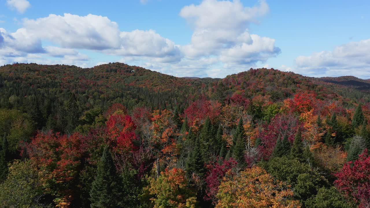 加拿大魁北克省秋天多色北方森林和劳伦山景观的鸟瞰图视频素材