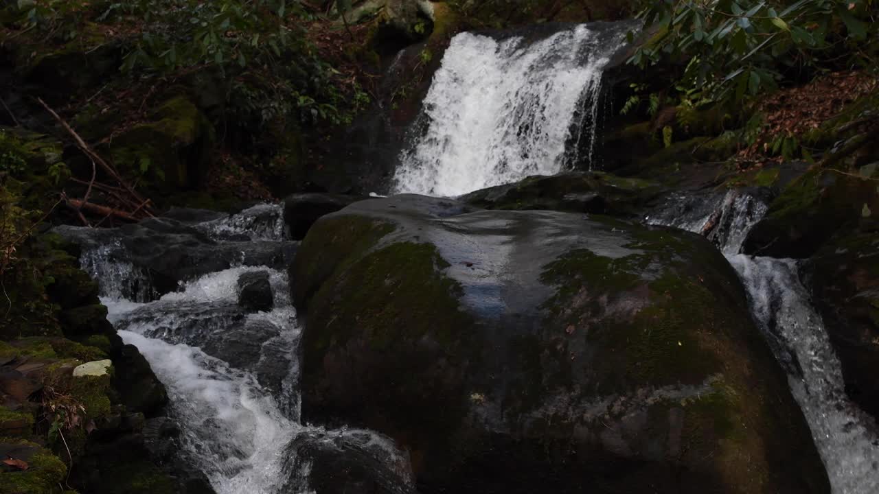 赫斯基树枝瀑布绕着大圆石流动视频素材