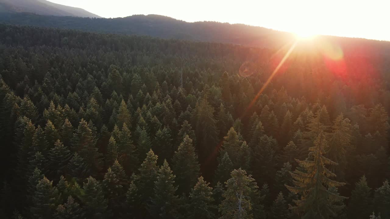 太阳射线。山坡上有绿色的松林。镜头光晕在山在橙色日落在夏天早晨航拍无人机。蓝色天空中一轮明亮的太阳慢慢地落在山顶上。自然视频素材