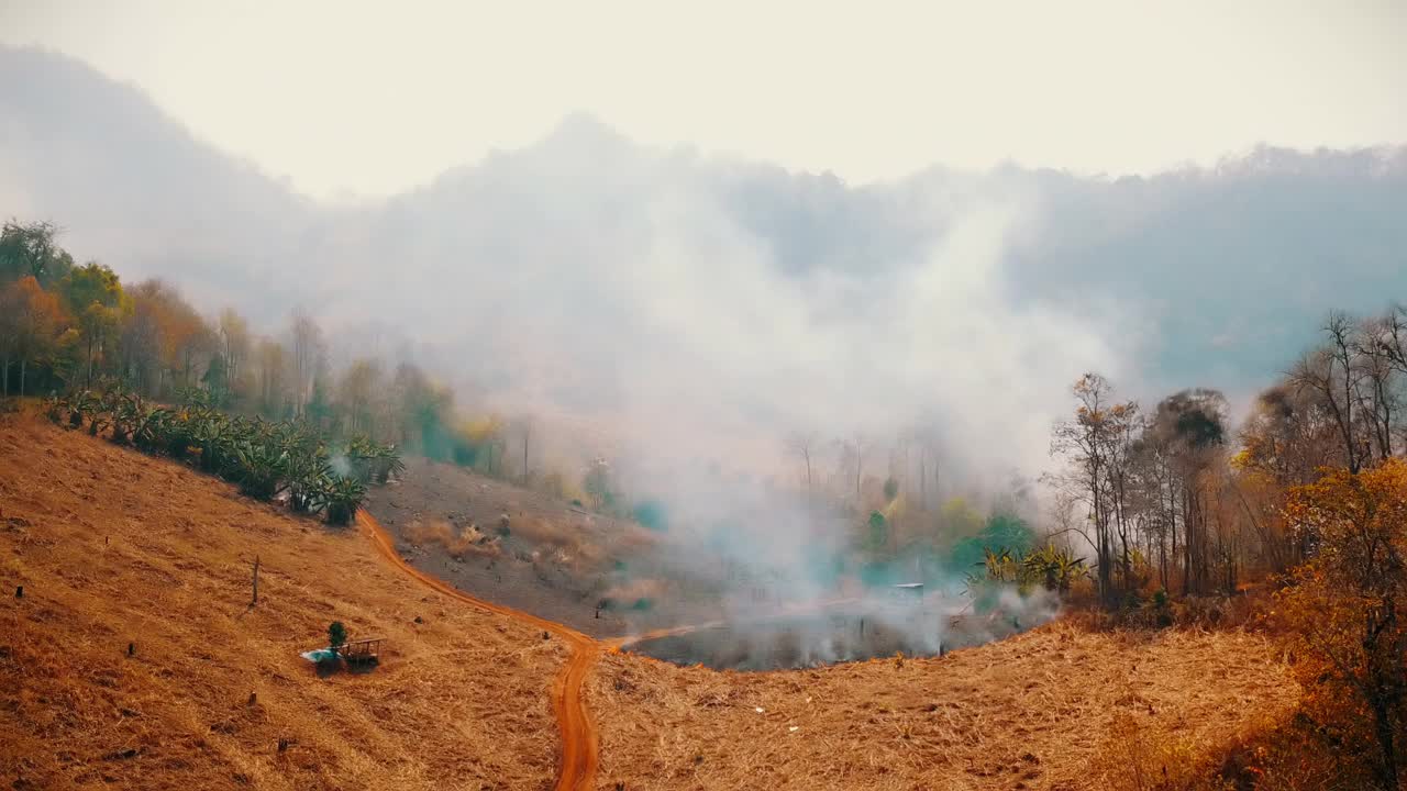 鸟瞰烟雾弥漫的田野。全球变暖的危机。刀耕火种的农业。气候变化、森林砍伐视频素材