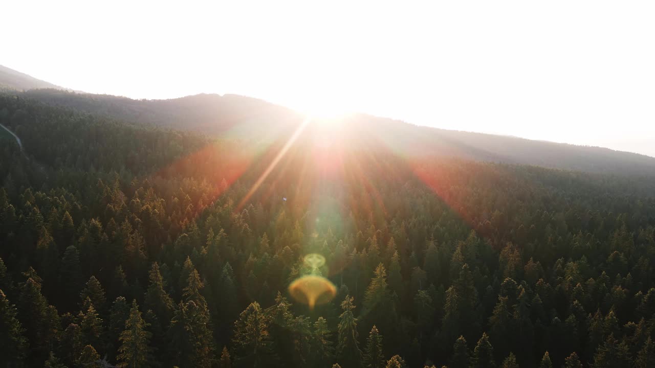 蓝色天空中一轮明亮的太阳慢慢地落在山顶上。大自然。镜头光晕在山在橙色日落在夏天早晨航拍无人机。太阳射线。山坡上有绿色的松林视频素材