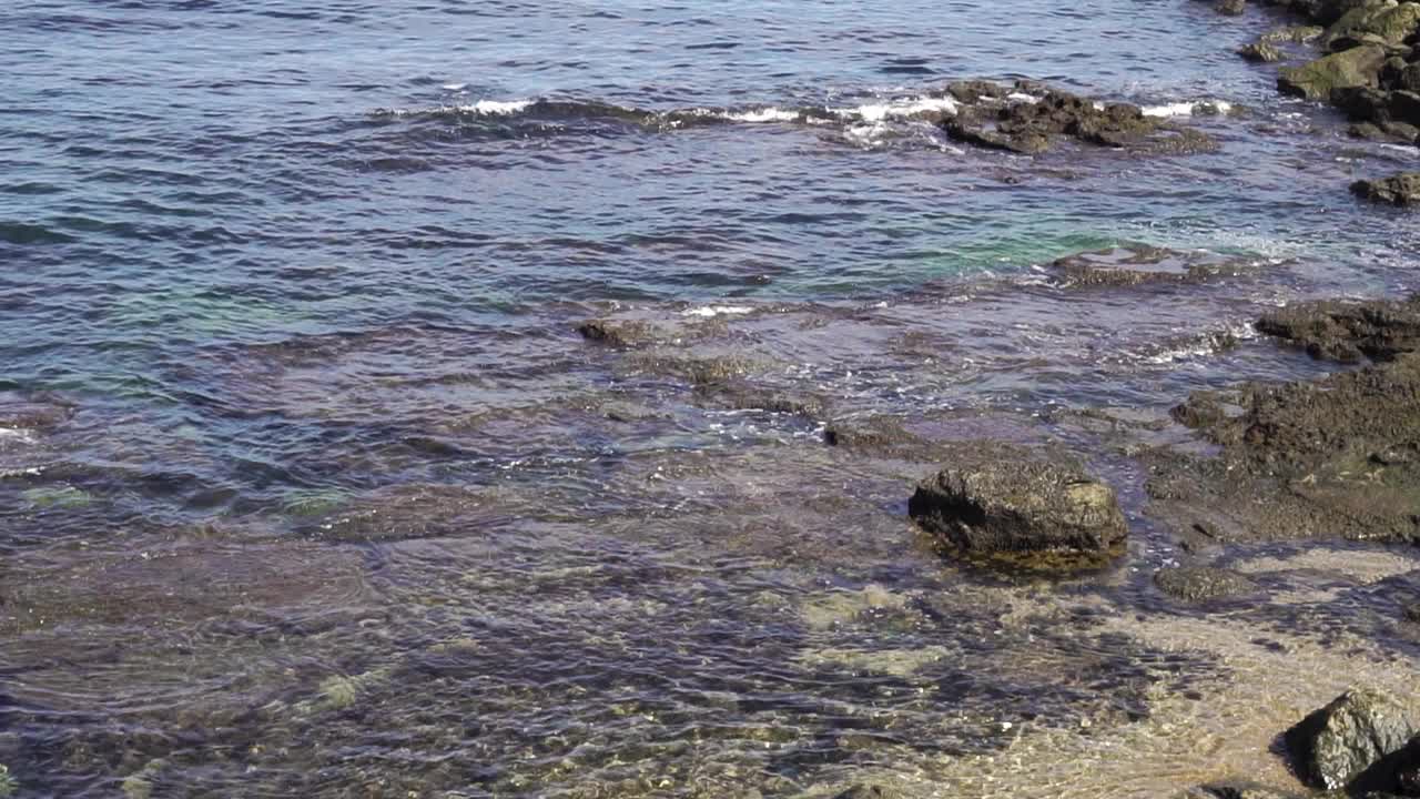 在石头海湾里冲浪。藻类在水里视频素材