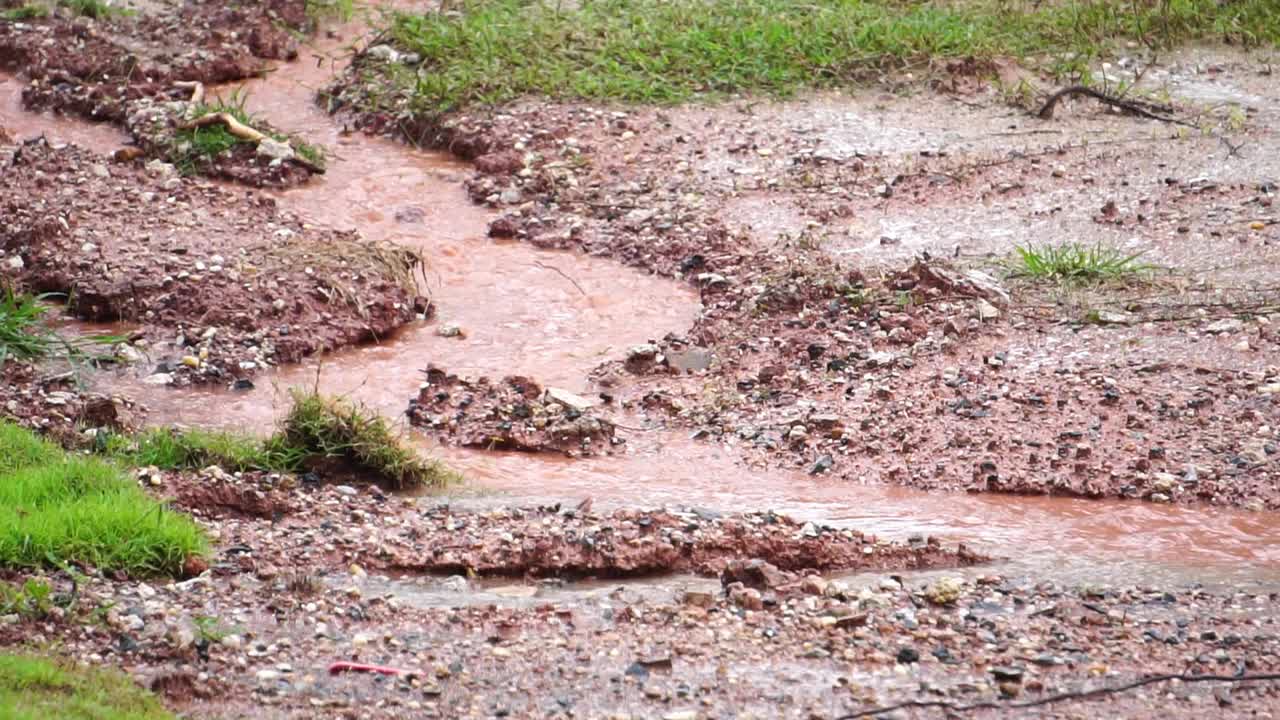 日落时雨水落在人行道上视频素材