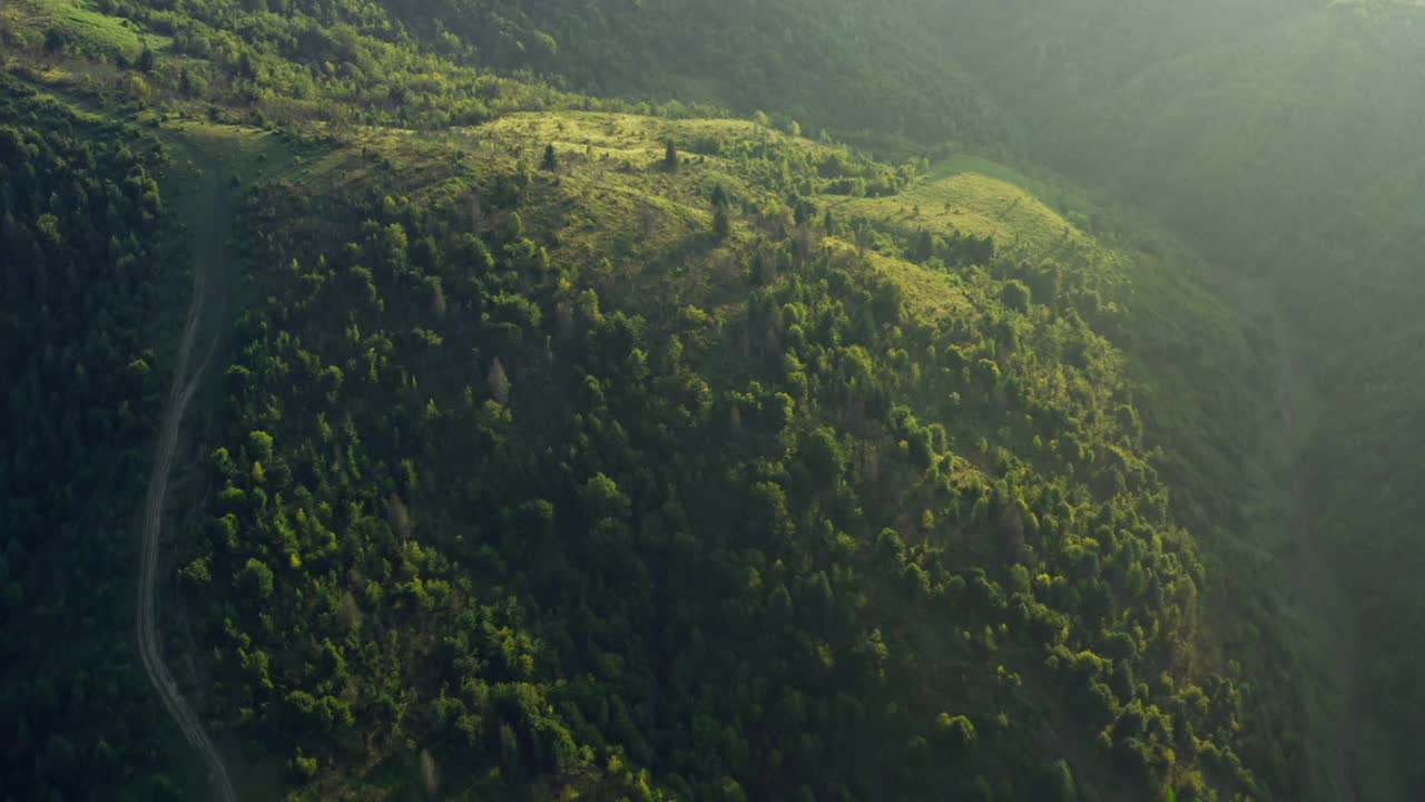 小山自然田野山脉鸟瞰图松树日落森林视频素材