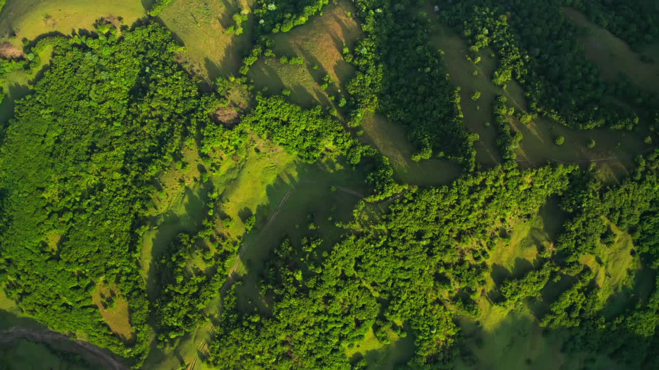 小山自然田野山脉鸟瞰图松树日落森林视频素材