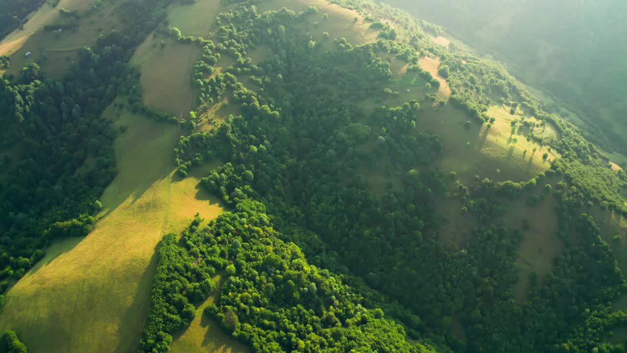 小山自然田野山脉鸟瞰图松树日落森林视频素材