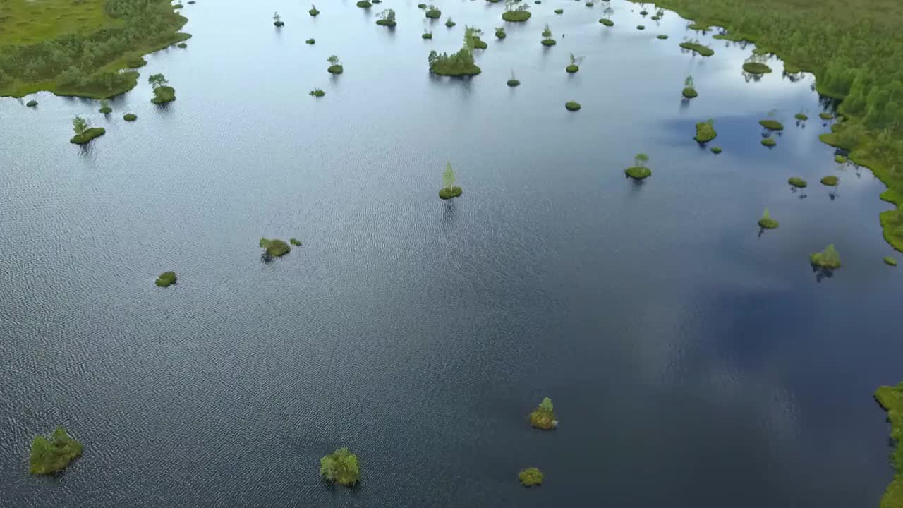 俯视图的沼泽景观。湖沼泽鸟瞰图。环境预订概念。视频素材