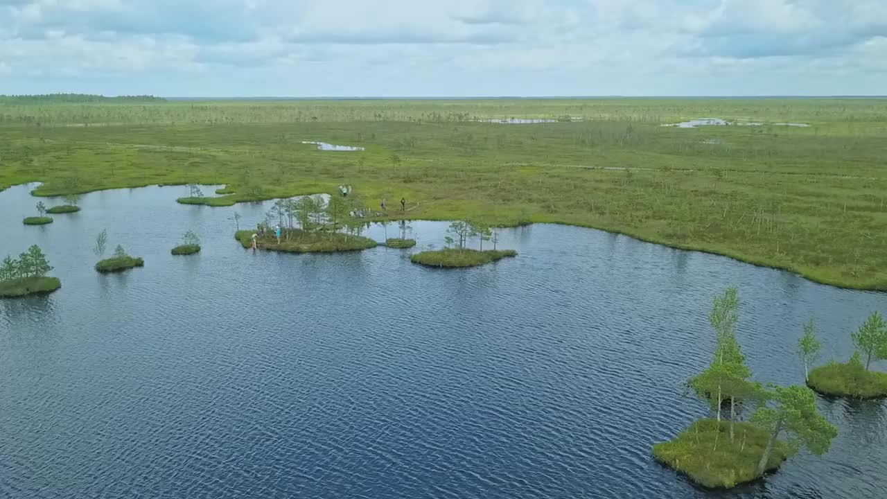 俯视图的沼泽景观。湖沼泽鸟瞰图。环境预订概念。视频素材