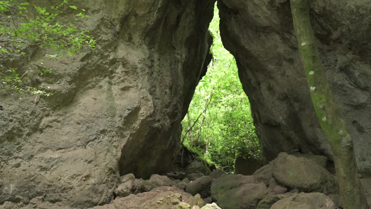 美丽的热带绿色森林。河流在绿色的森林。可持续旅游的概念。在绿色的森林里徒步旅行。徒步旅行的概念。Amatlan、墨西哥视频素材