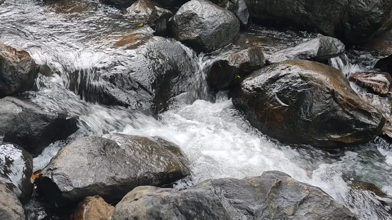 美丽的溪水穿过丛林的岩石视频素材