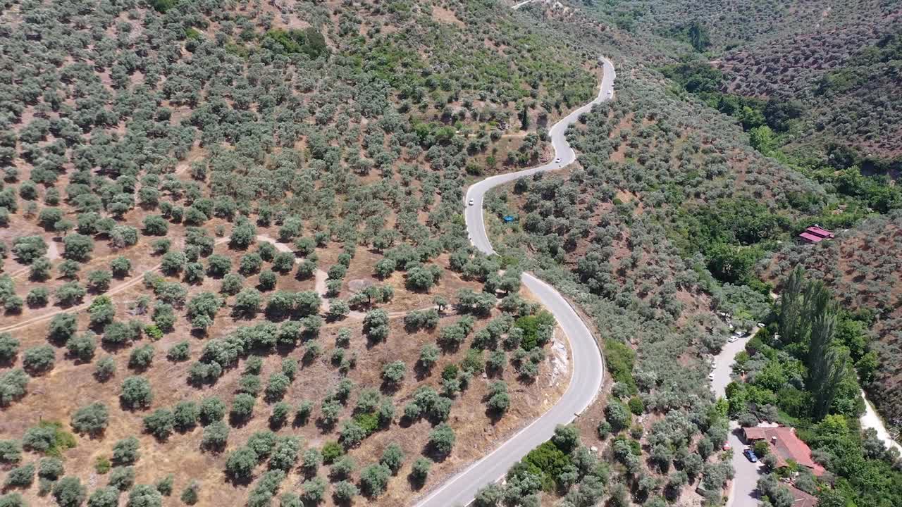 蜿蜒的道路。穿过森林的田园诗般的蜿蜒道路。视频素材