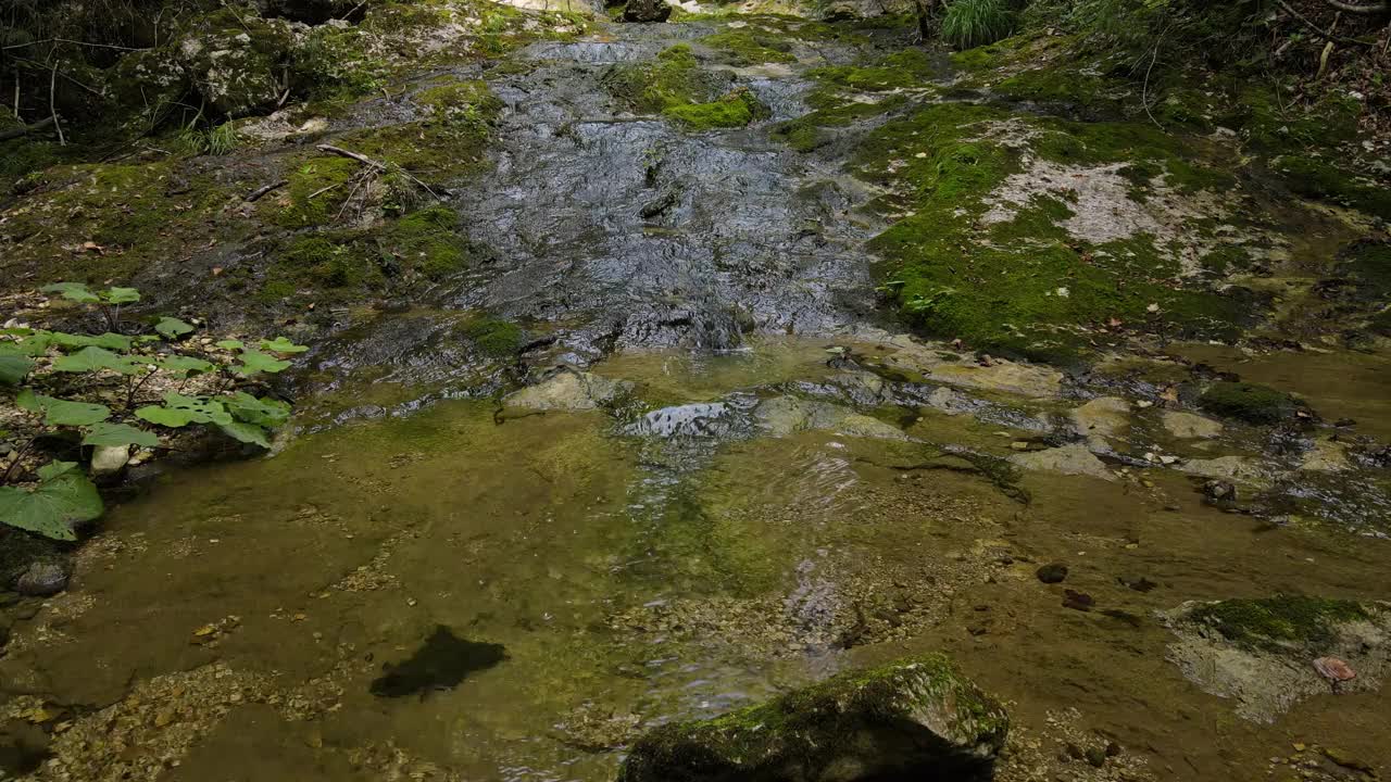 年轻人在荒野中探索溪流视频素材