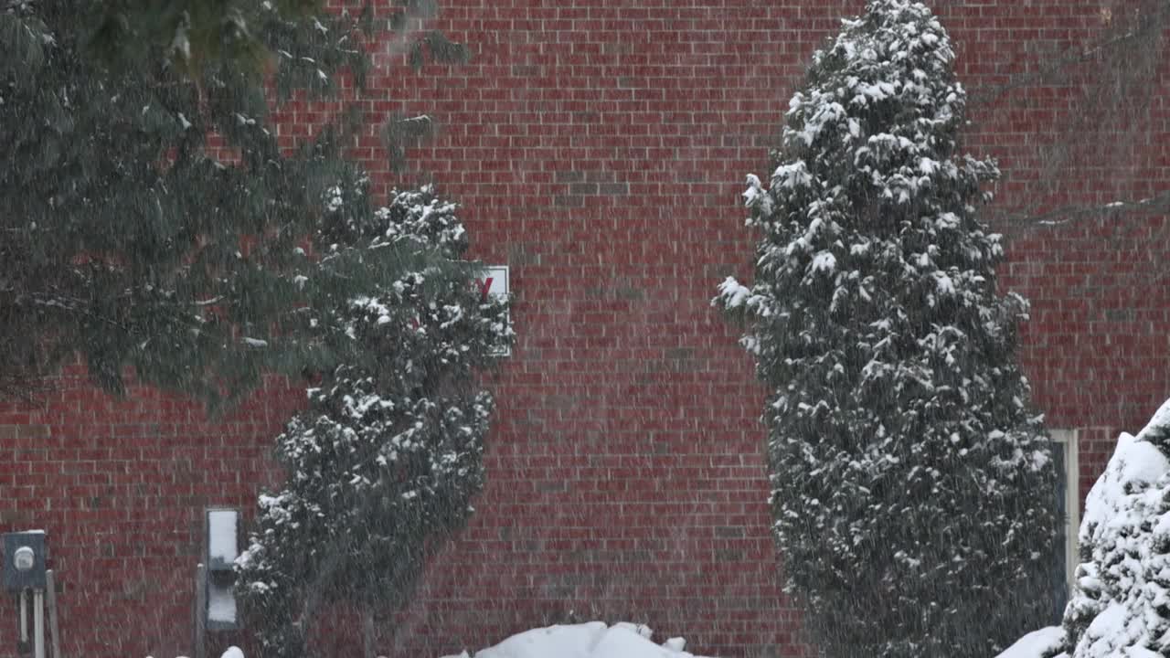 冬天的风景与雪的小镇，下雪视频素材