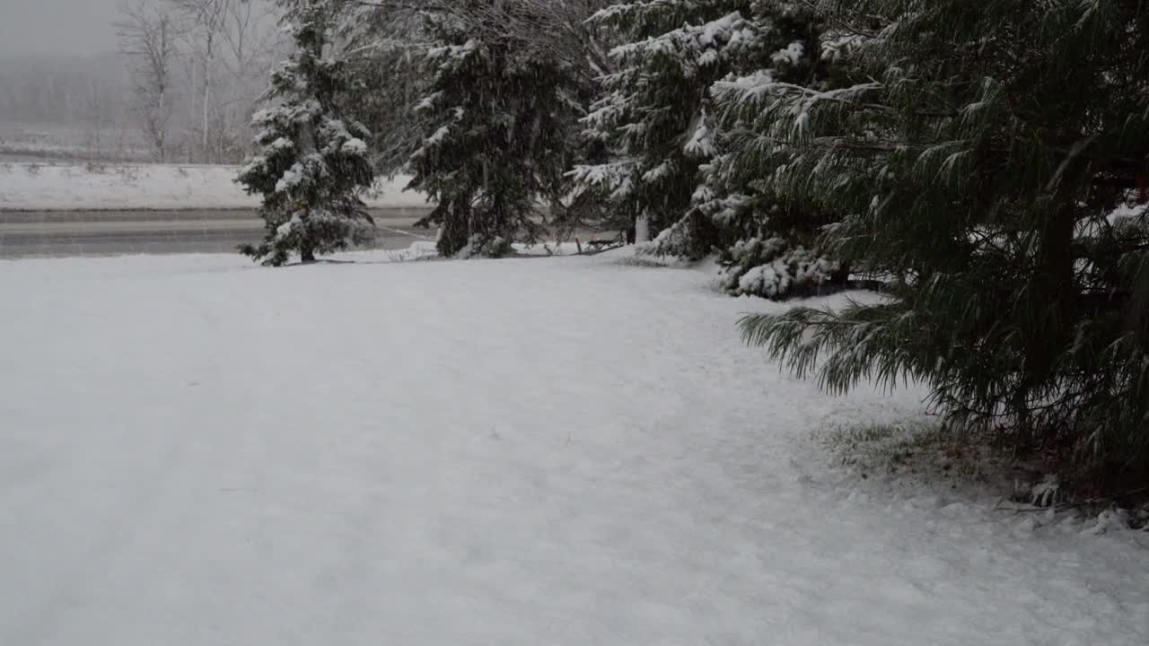 小路上的一个冬天，被暴风雪覆盖着视频素材