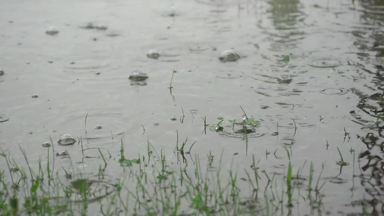 下雨的时候在公园的草坪上打水坑视频素材