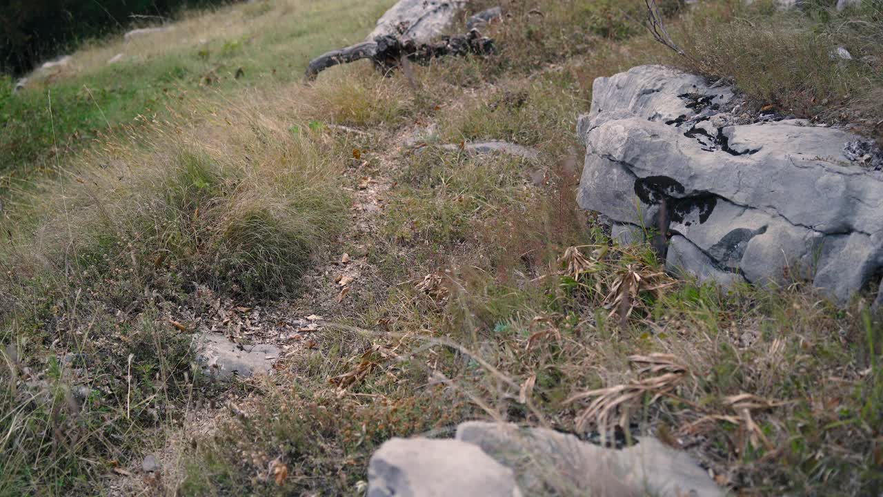 拄着登山杖的游客在山上行走，双腿特写。视频素材