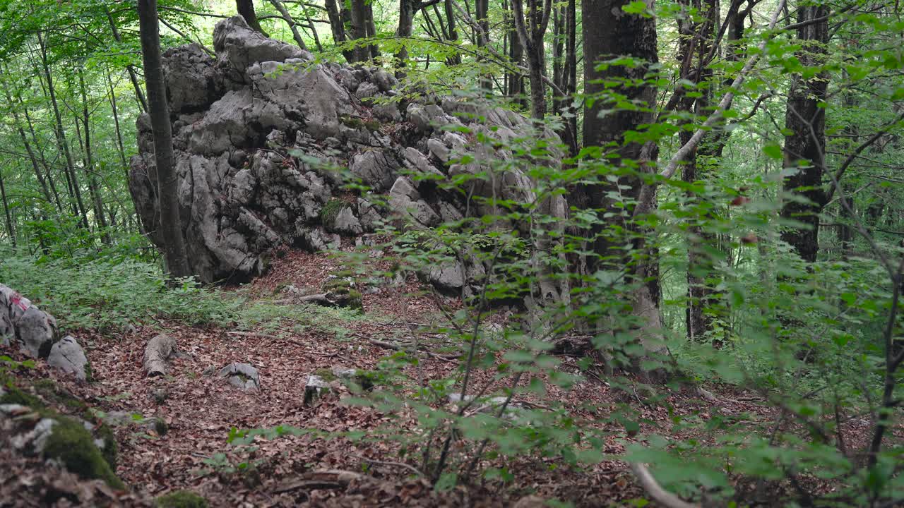 旅游者，徒步旅行者，背着背包，走在山森林与岩石。视频下载