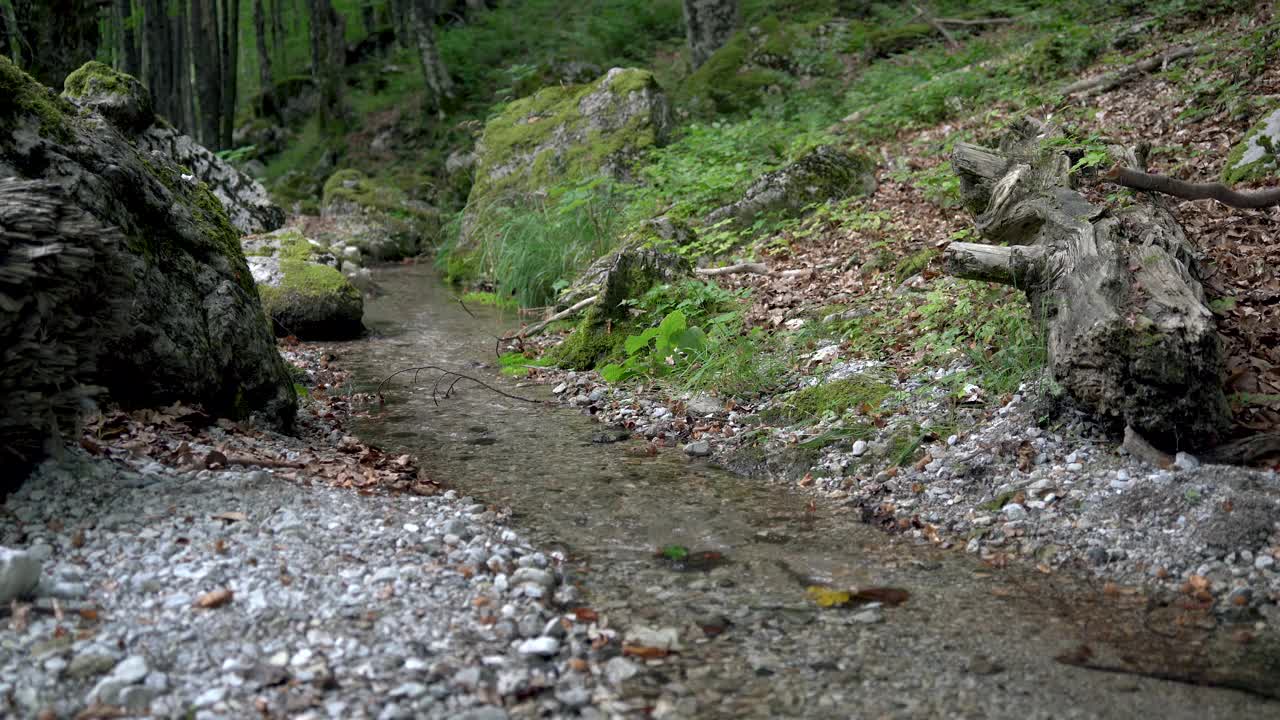 徒步旅行者正在山中森林中跨过小溪。视频下载